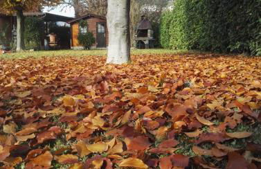 Casa Vacanze Monte Villa - Foto 33