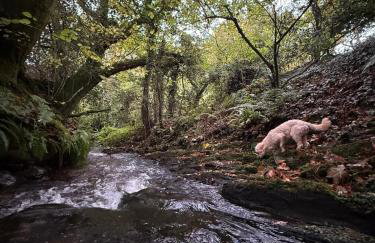 Moorleigh House Entire Property Sleeps 10 - Foto 73