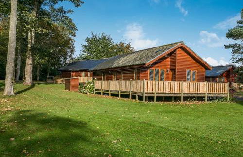 The Gallery - Foto 1