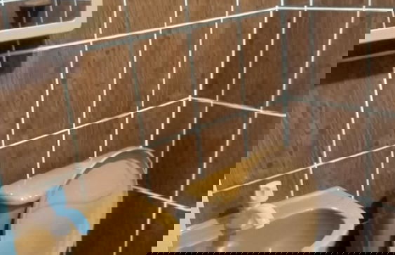 Hotel Primu's - Foto 14