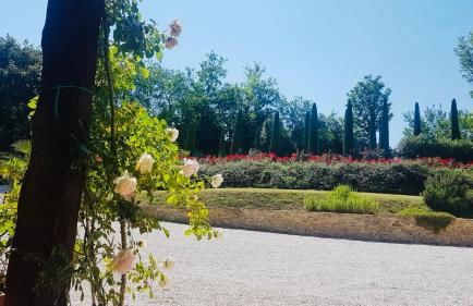 Villa San Marco - Teloni - Foto 7