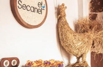 El Secanet - Foto 66