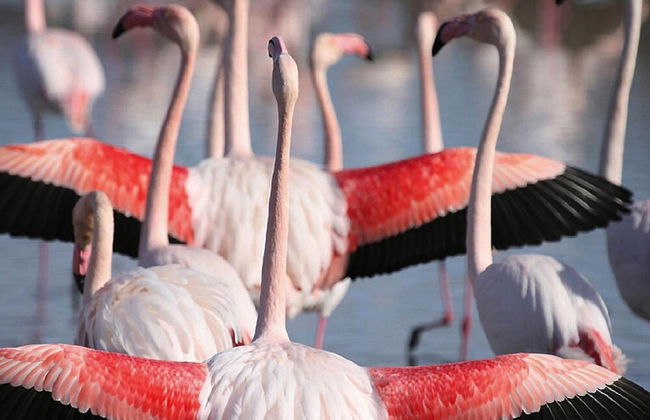 Holiday Cottage With Private Terrace, Bellegarde - Foto 66