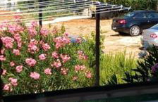 Karin Apartmani Hani - Photo 2