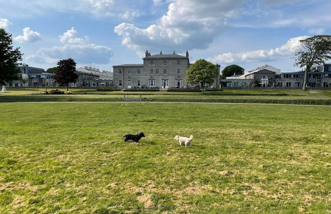 The Pavilion by Pureserviced - Foto 20