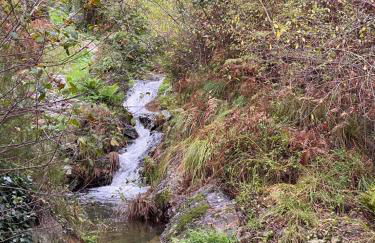 Casa Grande Abrunheiro Grande - Foto 49