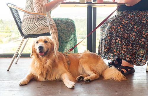 Naturena Agro-Turismo - Foto 42