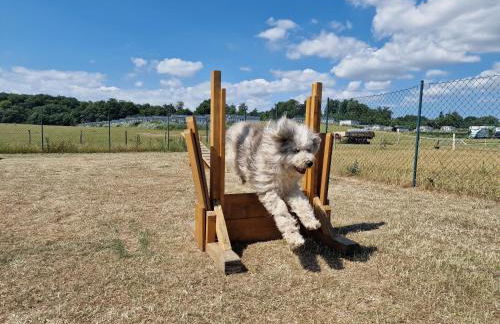 Ostseeferienpark Walkyrien - Kapitän 36 - Foto 22