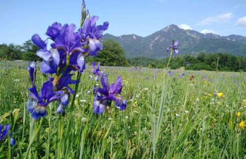 Ferienwohnung Schreiner-Viehhausen - Foto 9