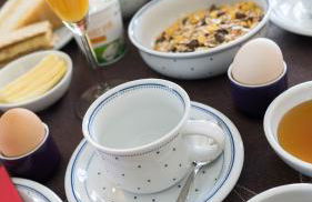 Ferienwohnungen Köhler - Foto 8