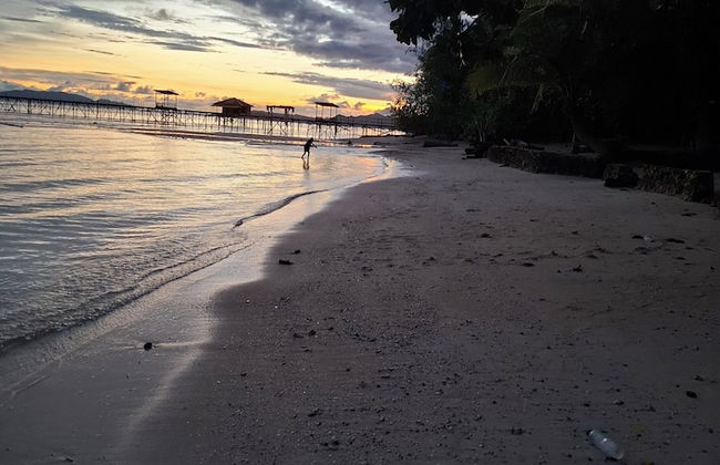 Mamatua N. Saleo Villa - Foto 29