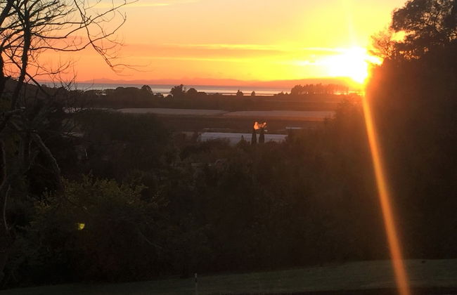 Terraced Chalets - Foto 22