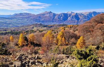 La Rose des Vents - Foto 13