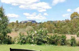 Green House - Foto 50