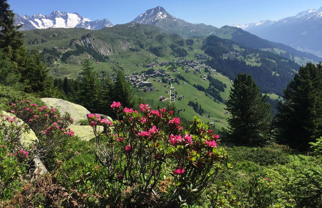 Amici 1. OG West - Foto 40