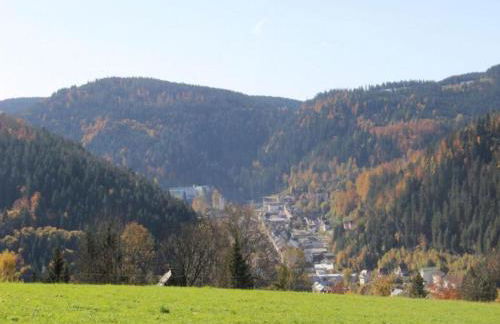 Apartment in Gutenbach With Nearby Forest - Foto 67