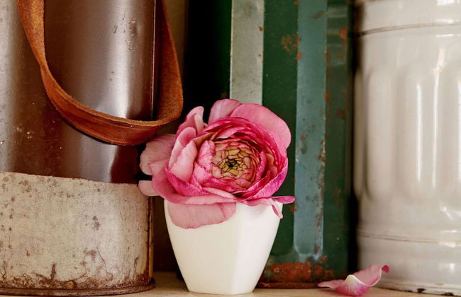 Holiday Home in Baarlo With Private Terrace - Foto 30