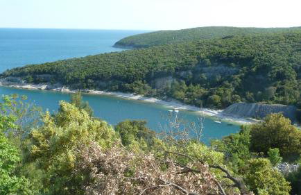 House Meli - Photo 37