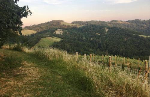 Pizzicalaluna Agriturismo Olistico sulle Colline di Pianoro - Photo 63