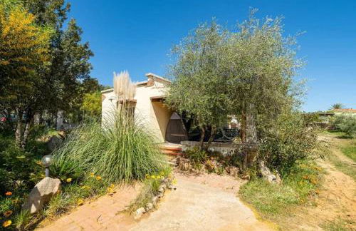 Al mare a Capo Comino - Foto 24