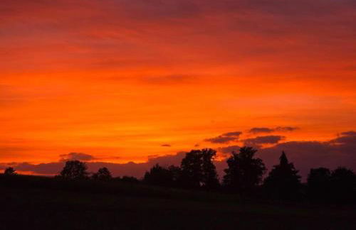 Welcoming Bungalows in Neustadt - Foto 32