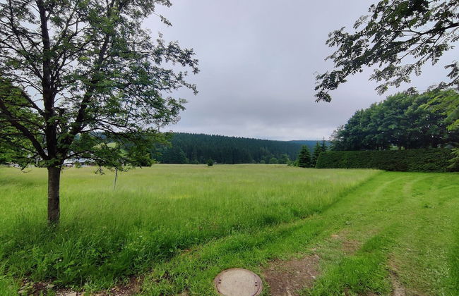 Forest Escape With Terrace - Photo 34