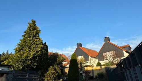 Ferienhaus Auf der Drossel - Foto 4, Garden, Garden view