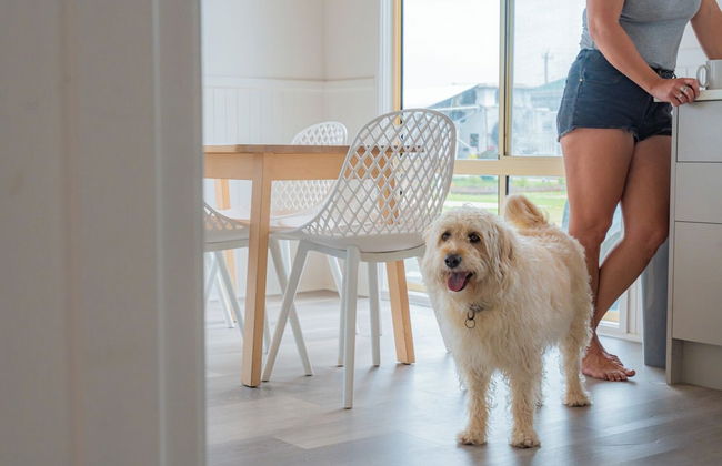 The Black Dolphin Holiday Park - Photo 42