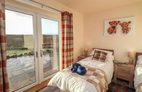 Red Squirrel - Foto 20