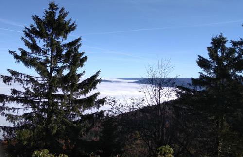 Wohnungen- Christopherhof MJ,Grafenwiesen - Photo 18