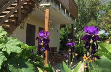 Ferienwohnung Stockrose - Foto 6