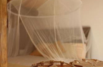 Bosque dos Amieiros - Foto 33