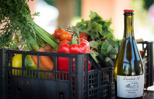 Agriturismo Morgan - Foto 3