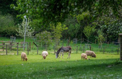 Nengshof - Haus Königskerze - Foto 32