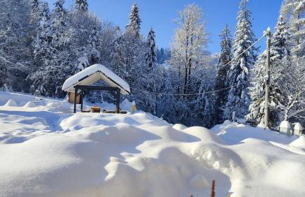 Domek Pierwiosnek Ustroń - cisza, las, balia i totalny relaks - Ucieknij od zgiełku i poczuj spokój natury - Photo 59