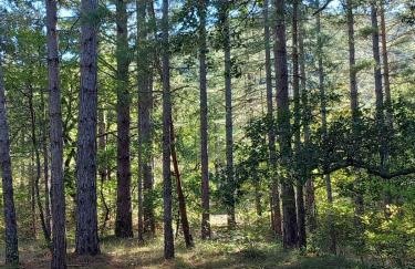 Bastide des Estampes - Le Poet Laval - 19 pers - Foto 14