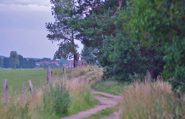 Ferienhaus, Zirchow - Foto 13