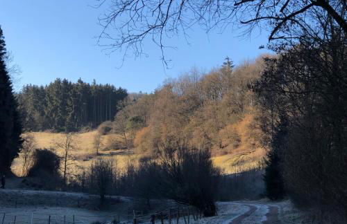 Ferienhaus Waldbaden im Nationalpark Eifel- am Bach - Foto 66