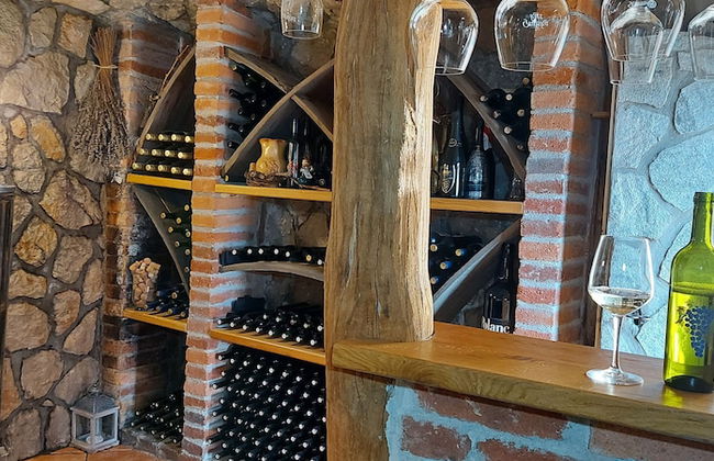 Vineyard cottage Stopar - Foto 19