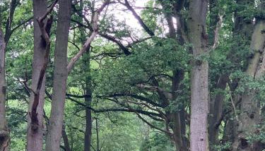 Private Apartment at Woodland Retreat - Foto 3