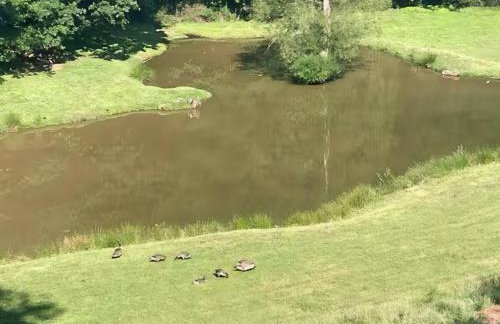 The Cabin - Private Car Park with CCTV - Fast WiFi - Peaceful Retreat with Views for Business or Couples - Foto 25