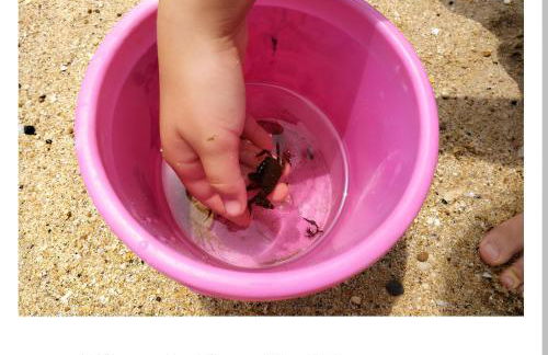 Maison 2 Chambres en Bord de Mer-Jardin & Animaux Acceptes, 400m de la Plage - Foto 29