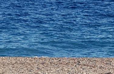 Appartamento I Puritani on the beach - Foto 23