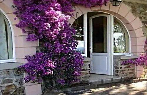 Rayol vue mer jardin plage à pied - St-Tropez 25km - Foto 2