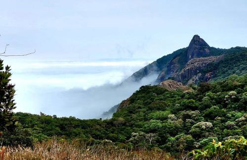 Chalé do Lopo - Photo 37