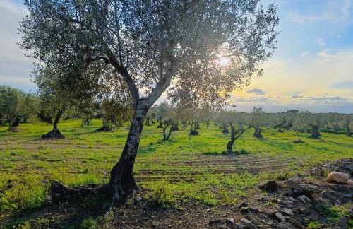 Sunny Relaxing Penthouse Costa Brava, Sea & Mountain Views, Huge Terrace, Fiber 1GB - Foto 34