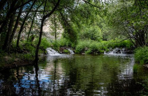 Casa Rural "La Noria" - Foto 15