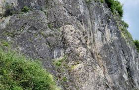 Lakeview Casa Camelia 21 - Foto 68