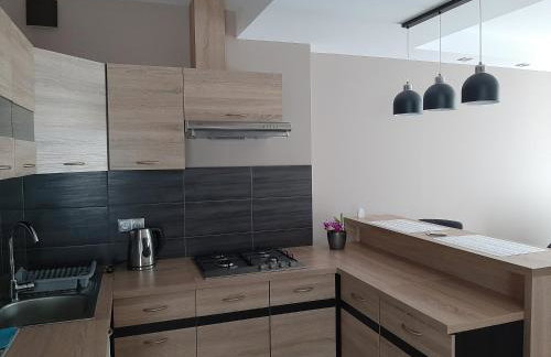 Apartamenty ,,Trzy Sosny'' Rymanów-Zdrój - Foto 27