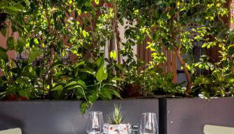 Creuza De Ma - Foto 4, Garden view